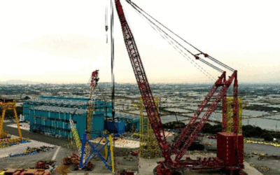 Consultancy and Site Management